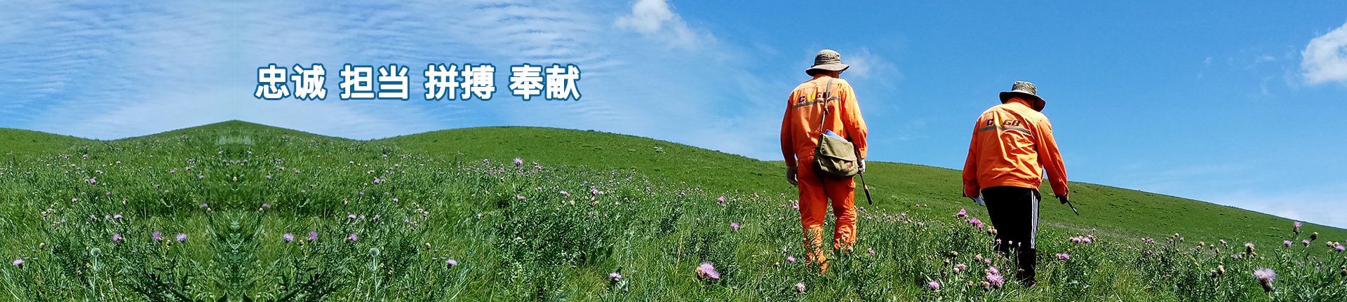 文化要素 党员先锋谱 青年创新创效