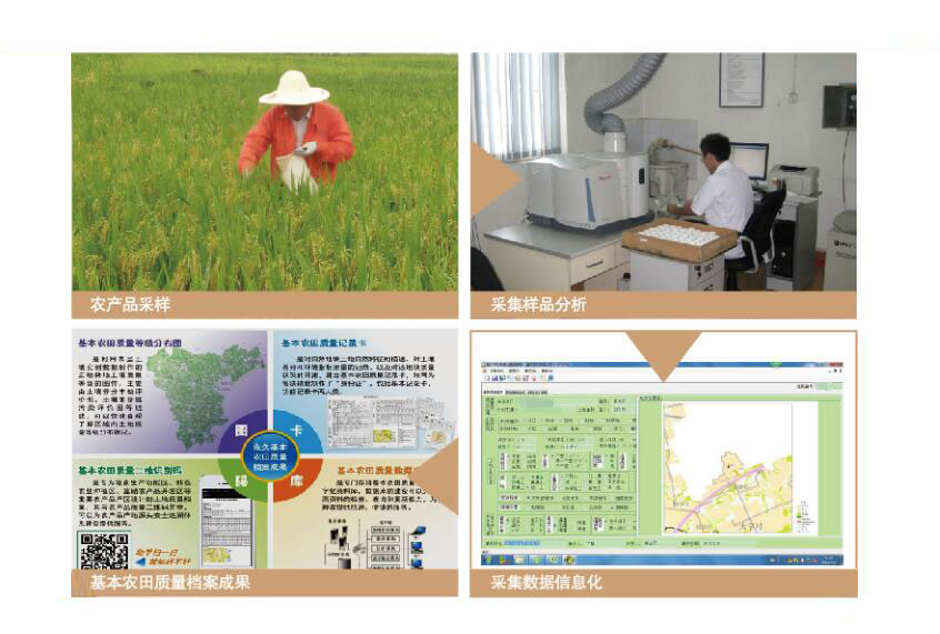 华体云app使用方法型组织 “解放思