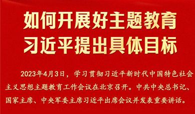 各单位动态更多+